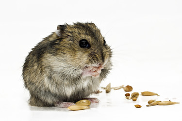 Similar image 1737869