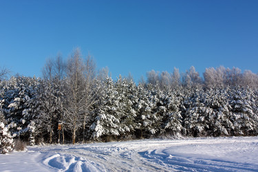 Similar image 1738094