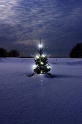 Similar image 1738161