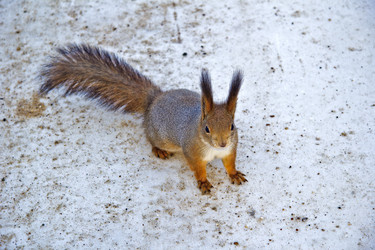 Similar image 1738173