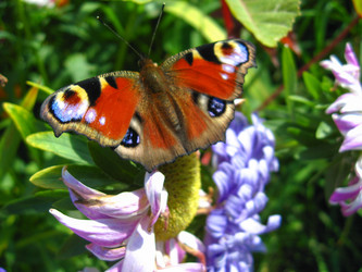 Similar image 1738222