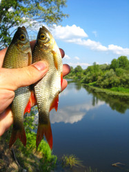 Similar image 1738235