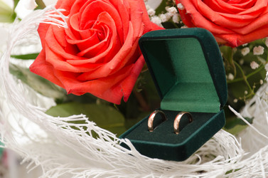 Similar image 1738248