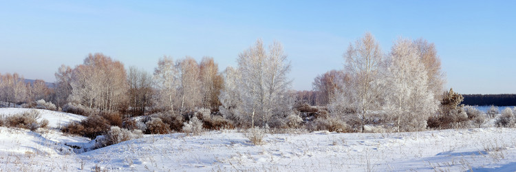 Similar image 1738389