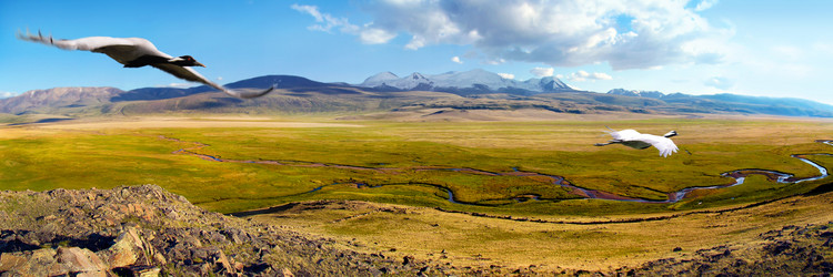 Similar image 1738495