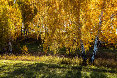 Similar image 1738497