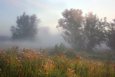 Similar image 1738499