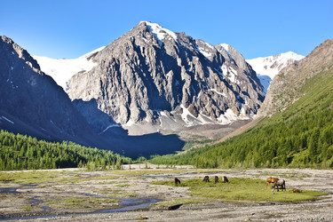 Similar image 1738504