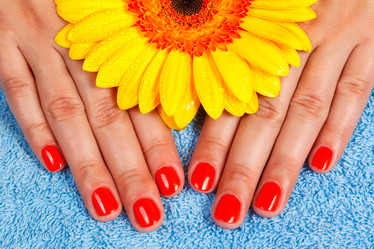 Similar image 1738529