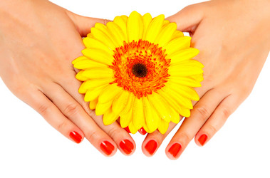 Similar image 1738530