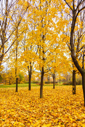 Similar image 1738532