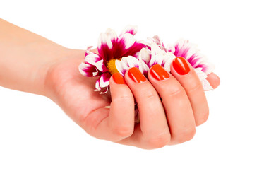 Similar image 1738533