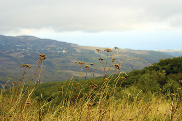 Similar image 1738598