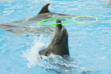 Similar image 1738618