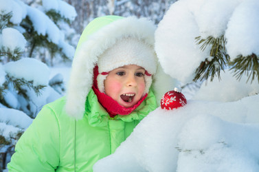 Similar image 1738623