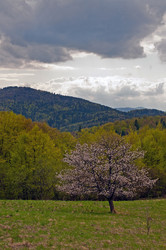 Similar image 1738648