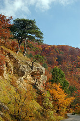 Similar image 1738654