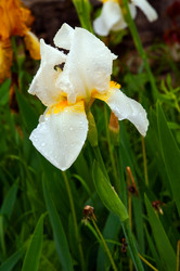 Similar image 1738655