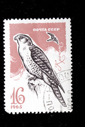 Similar image 1738691