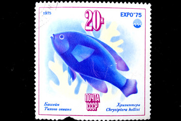 Similar image 1738693