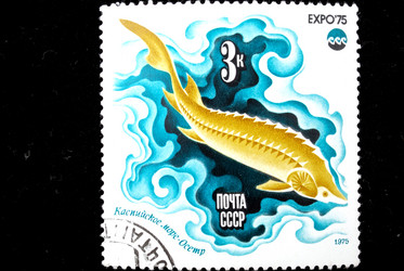 Similar image 1738694