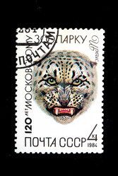 Similar image 1738695