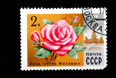 Similar image 1738718