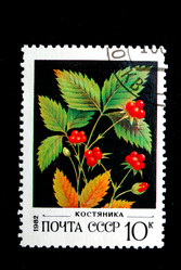 Similar image 1738722