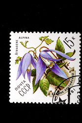 Similar image 1738723