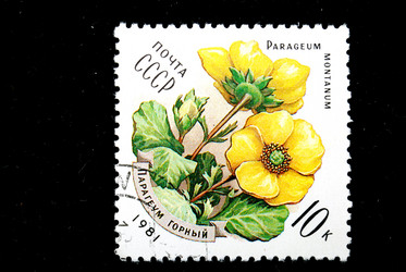 Similar image 1738724