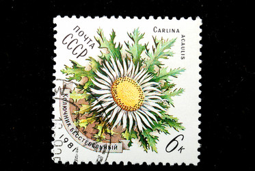 Similar image 1738725