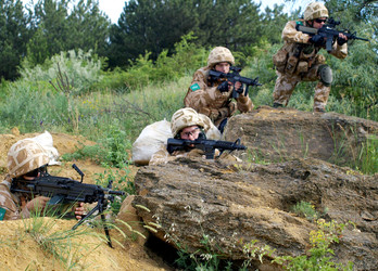 Similar image 1738883