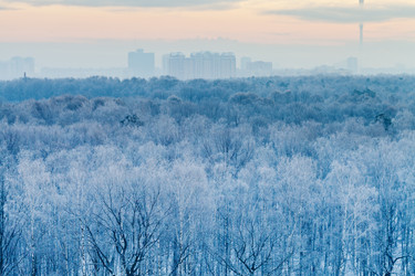 Similar image 1739019