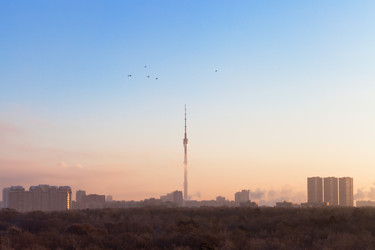 Similar image 1739030