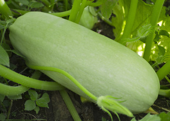 Similar image 1739089