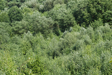 Similar image 1739097