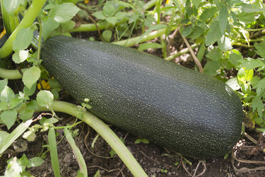 Similar image 1739098