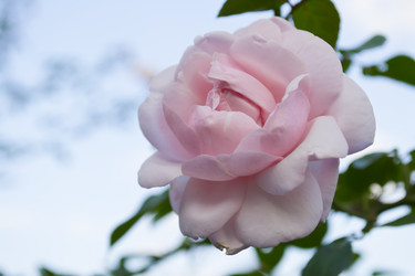 Similar image 1739099