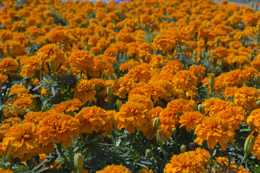 Similar image 1739103