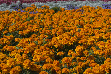 Similar image 1739105