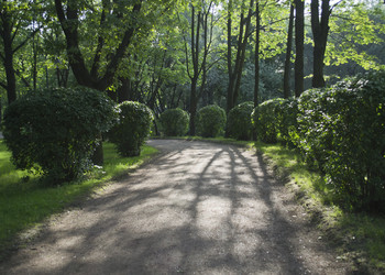 Similar image 1739112