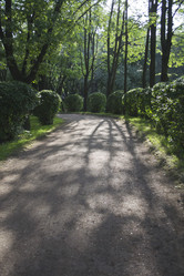 Similar image 1739115