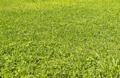 Similar image 1739117