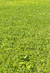 Similar image 1739118