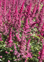 Similar image 1739119