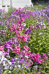 Similar image 1739121