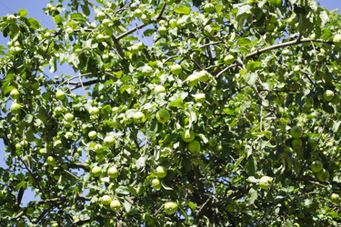 Similar image 1739122