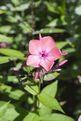 Similar image 1739123