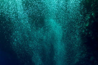 Similar image 1739282