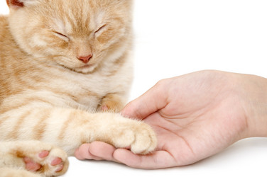 Similar image 1739353